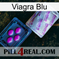 Viagra Blu 37